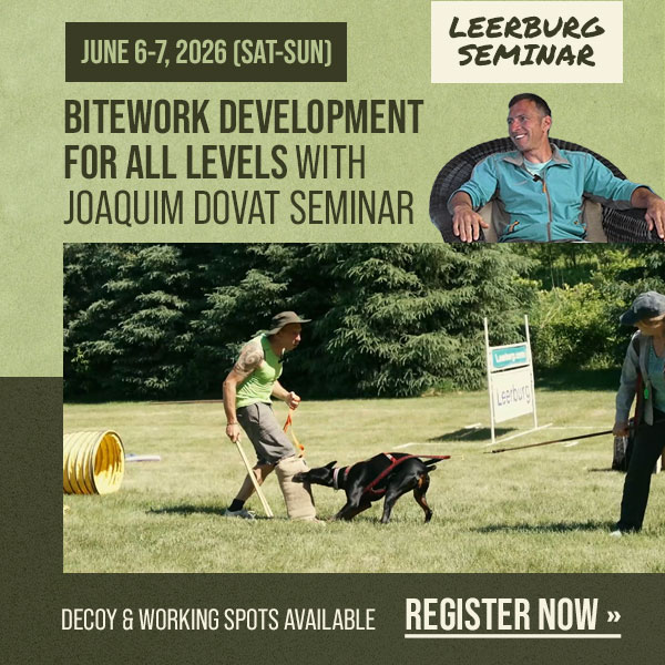 Bitework Development for All Levels Seminar