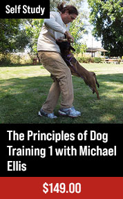 The Power of Training Dogs with Markers