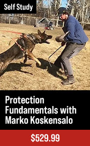 Introduction to the Canine Good Citizen