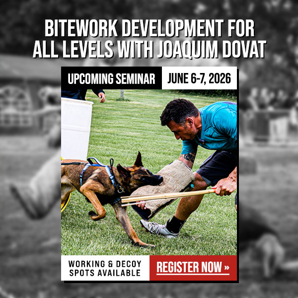 Bitework Development for All Levels Seminar