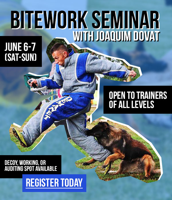 Bitework Development for All Levels Seminar