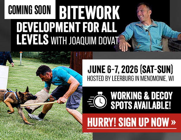 Bitework Development for All Levels Seminar