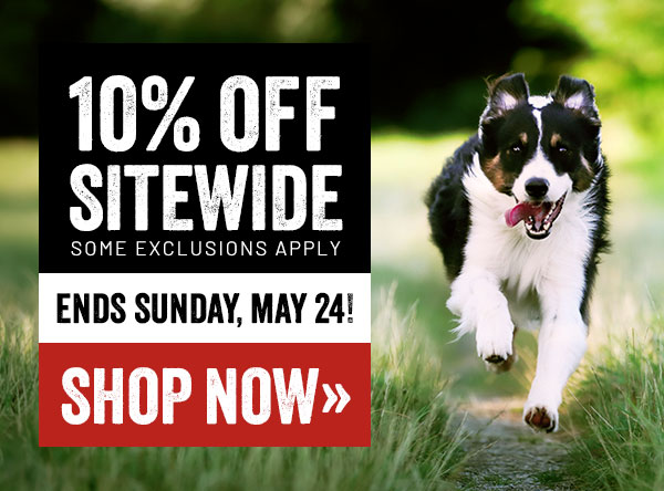 10% Off Sitewide - Shop our Bestsellers