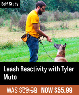 Leash Reactivity with Tyler Muto