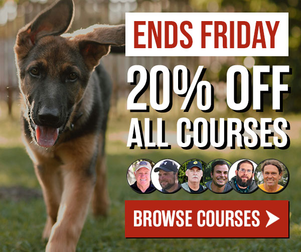 Leerburg Summer Sale: 20% Off All Courses