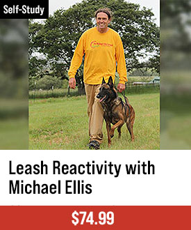 Leash Reactivity with Michael Ellis