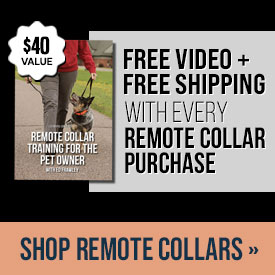 Free Video + Free Shipping with Every Remote Collar Purchase