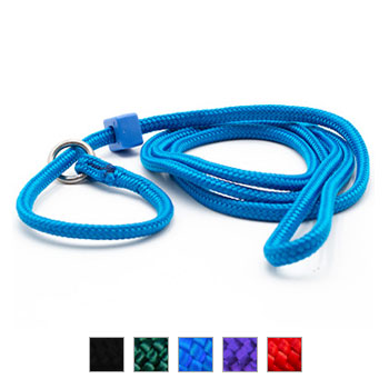 Leerburg 1/8-in Dominant Dog Slip Lead with Handle