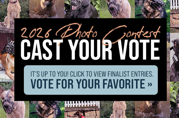 Vote for your favorite Photo Contest entry!