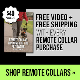 Free Video + Free Shipping with Every Remote Collar Purchase