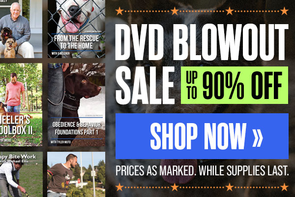 DVD Blowout Sale