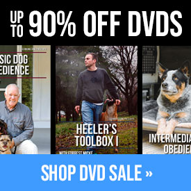 DVD Blowout Sale