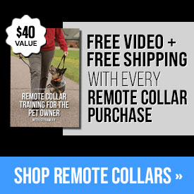 Free Video + Free Shipping with Every Remote Collar Purchase