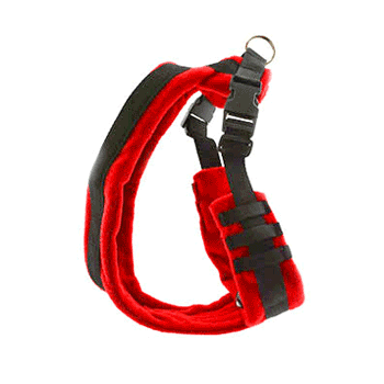 Eezwalker Dog Harness