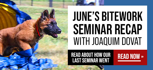 A Recap on June's Seminar with Joaquim Dovat