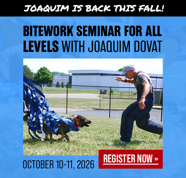 Joaquim Dovat Bitework Development Seminar Coming in October