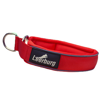 Large Dog Padded Comfort Collars