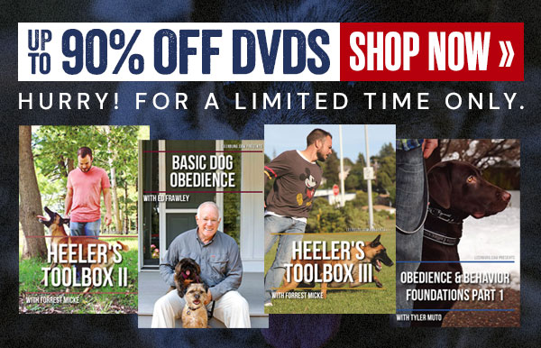 90% Off DVDs