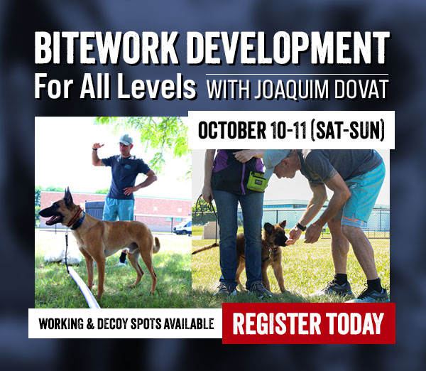 Joaquim Dovat Bitework Development Seminar Coming in October