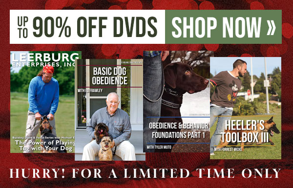 90% Off DVDs