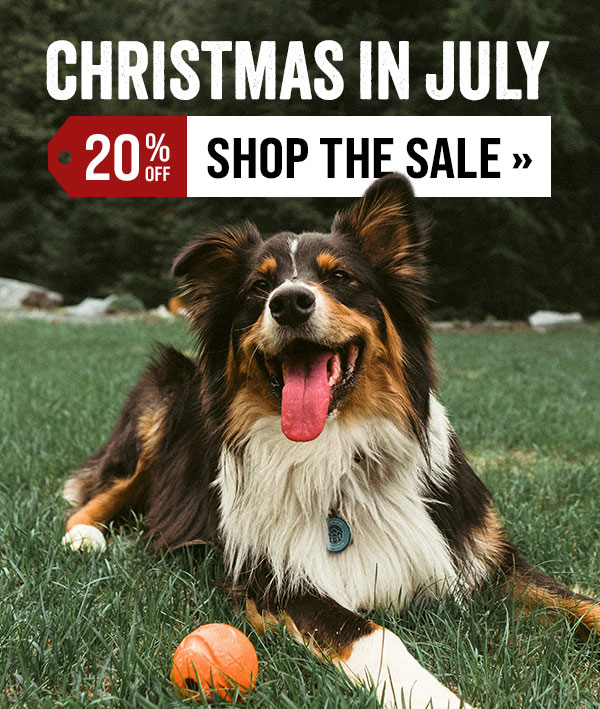 Christmas in July Sale