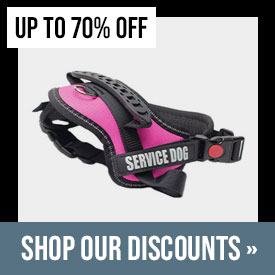 Discounted Items
