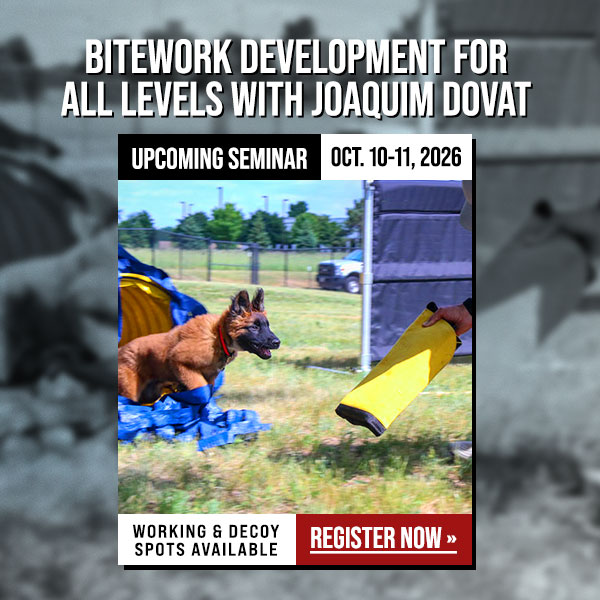 Joaquim Dovat Bitework Development Seminar Coming in October