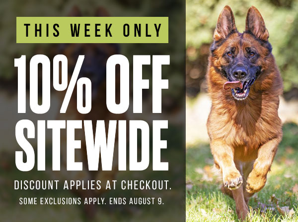Christmas in July Sale