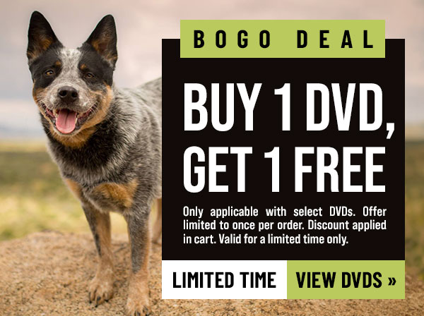 90% Off DVDs