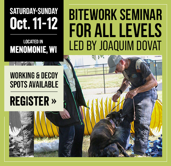 Joaquim Dovat Bitework Development Seminar Coming in October