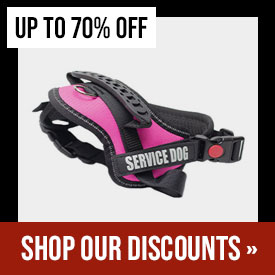 Discounted Items