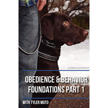 Obedience and Behavior Foundations Part I with Tyler Muto