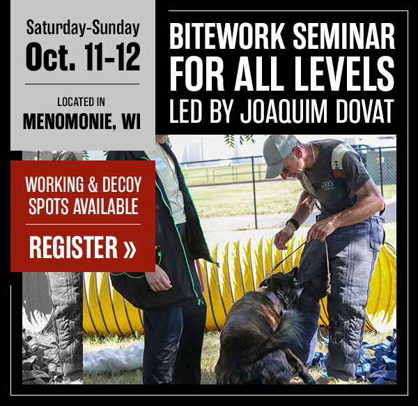 Joaquim Dovat Bitework Development Seminar Coming in October
