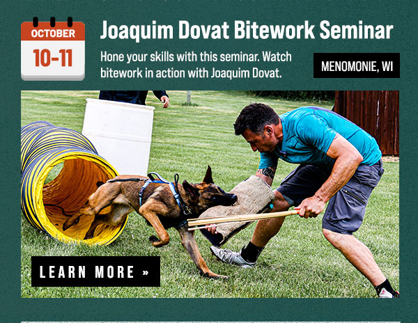 Joaquim Dovat Bitework Development Seminar Coming in October