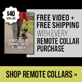 Free Video + Free Shipping with Every Remote Collar Purchase