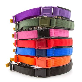 Keeper Collars Hidden Prong with Snap