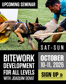 Bitework Development for All Levels with Joaquim Dovat in October 2026