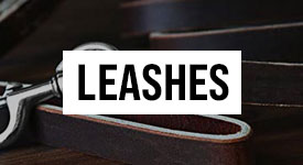 Dog Leashes
