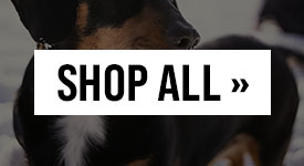 Shop All Categories