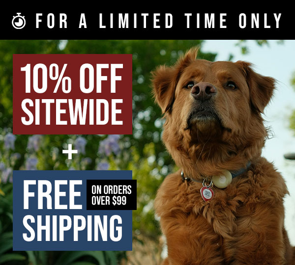 10% Off + Free Shipping on Orders Over $100