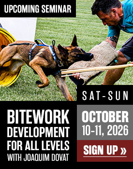 Bitework Development for All Levels with Joaquim Dovat in October 2026