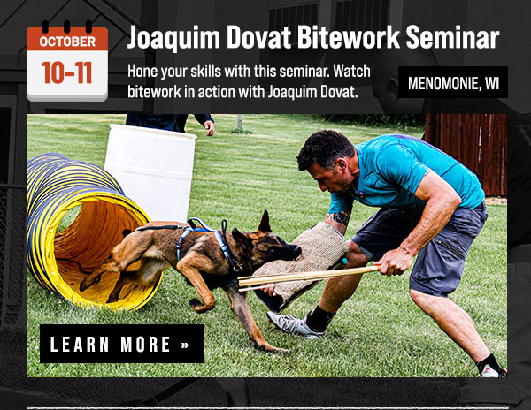 Joaquim Dovat Bitework Development Seminar Coming in October
