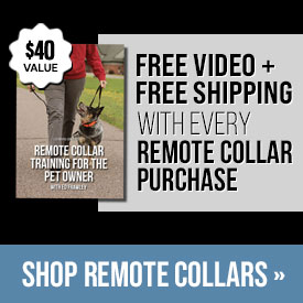 Free Video + Free Shipping with Every Remote Collar Purchase