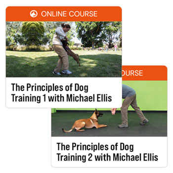 Principles of Dog Training Bundle