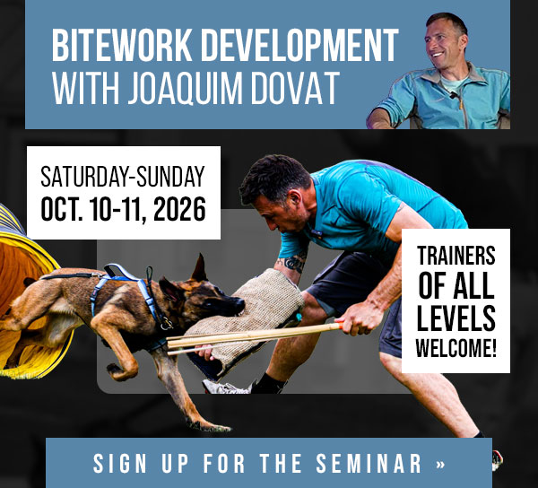 Joaquim Dovat Bitework Development Seminar Coming in October