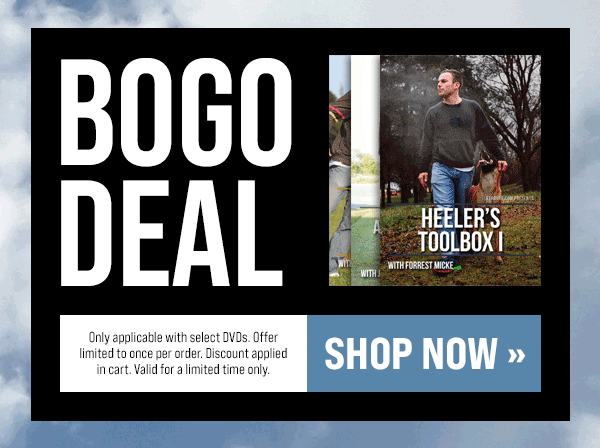 BOGO DVD Offer