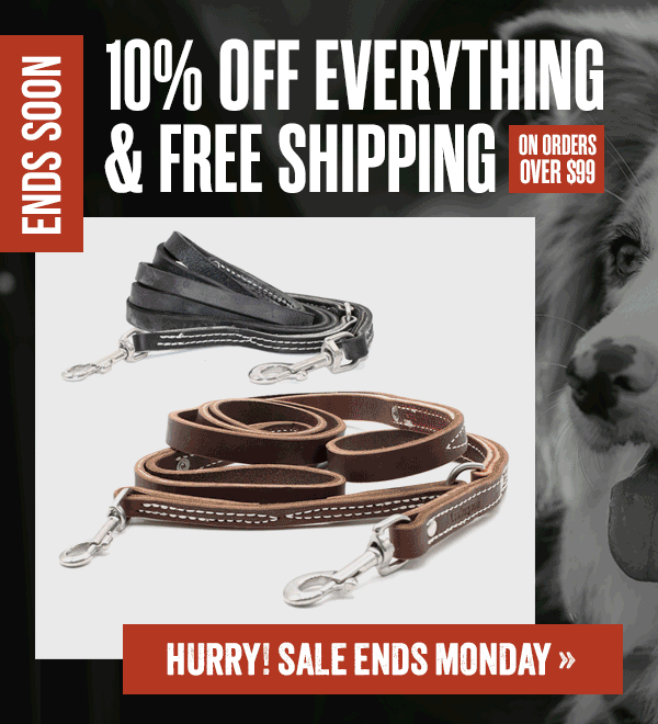 10% Off Sitewide + Free Shipping on Orders Over $100