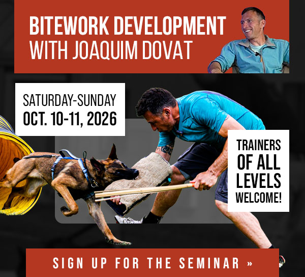 Joaquim Dovat Bitework Development Seminar Coming in October