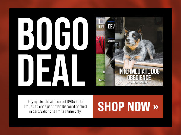 BOGO DVD Offer
