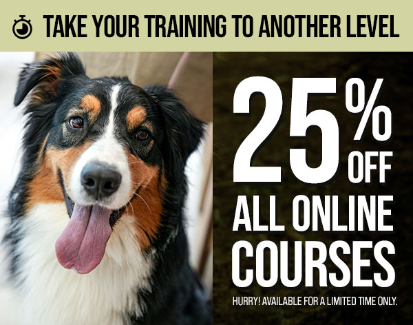 15% Off Sitewide Ends July 13